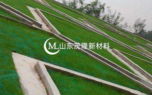 《都勻至安順公路項(xiàng)目》土工格柵、三維植被網(wǎng)施工