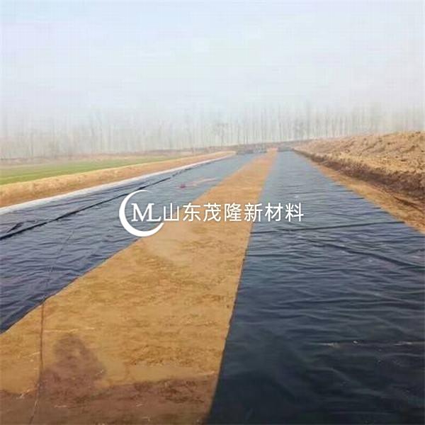 黑色防滲土工膜有哪些特點