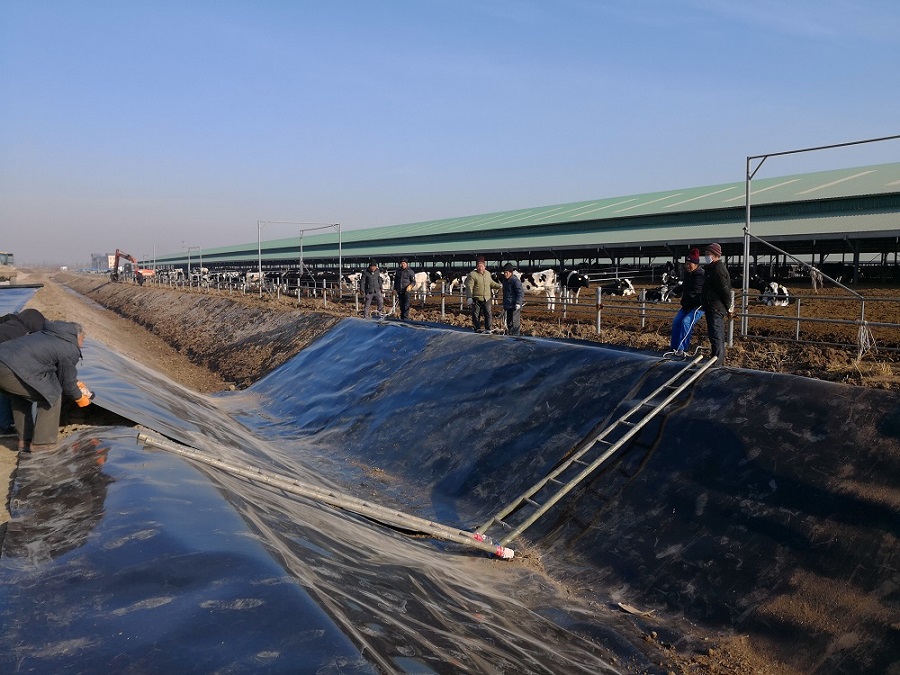 防滲土工膜的價格 防滲土工膜施工單價