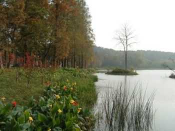 護(hù)岸工程施工方案、圖紙歸納匯總  第1張