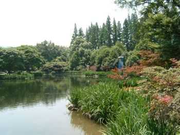 護(hù)岸工程施工方案、圖紙歸納匯總  第2張