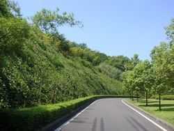 護坡工程設計資料