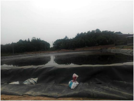 魚塘土工膜怎么樣施工合理呢  第1張