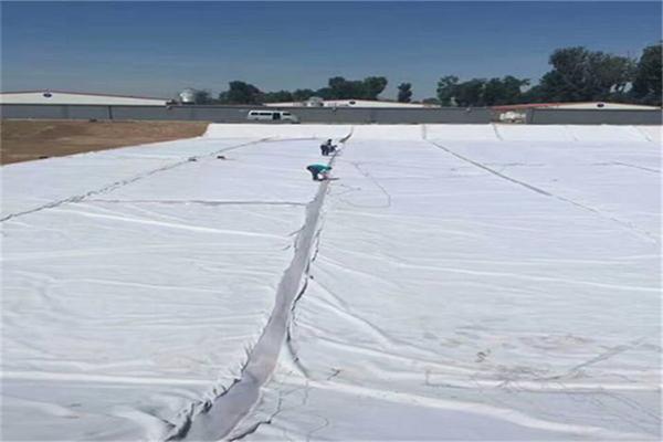 在選購復合土工膜時應注意什么？  第2張