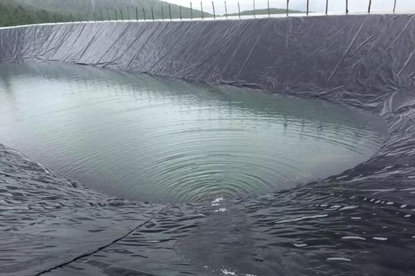 高密度聚乙烯土工膜有什么特點(diǎn)? 第2張