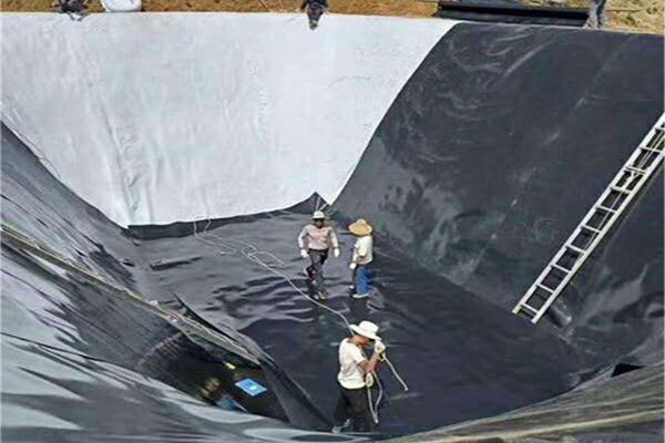 土工膜應用在水產養殖中有什么作用？  第2張