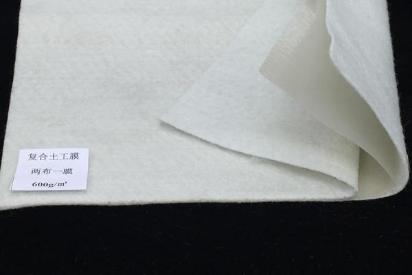 復(fù)合土工膜的耐久性防護(hù)是什么降解原因及解決方法  第2張