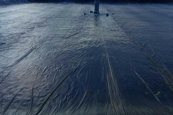 探索土工膜在生態環保中的多重功能 第2張