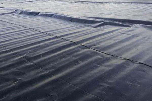 探索土工膜在生態環保中的多重功能 第3張