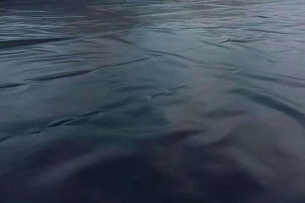 探究土工膜的裁剪性能，了解其特點(diǎn)與優(yōu)勢  第2張