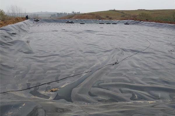 土工膜在種植中的應(yīng)用價(jià)值:防滲土工膜能否用于種植? 第2張