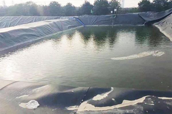 如何選擇魚(yú)塘土工膜厚度？  第1張