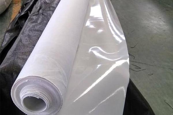 復(fù)合土工膜在渠道防滲、堤壩加固及水庫除險工程中的實(shí)際應(yīng)用 第3張