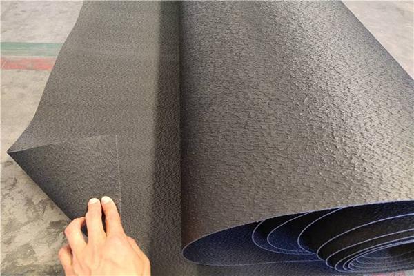 糙面土工膜與生態修復工程結合使用的探討  第3張