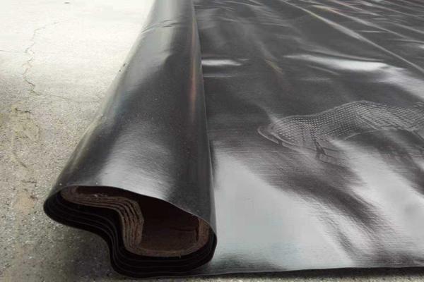 防滲土工膜的節水作用  第2張