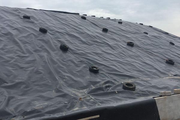 HDPE土工膜在人工湖建設(shè)中的應(yīng)用 第1張