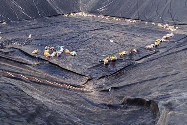 防滲膜土工膜在蓄水池中的應(yīng)用 第2張