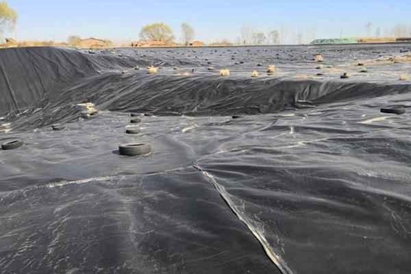 HDPE膜檢測頻率  第3張