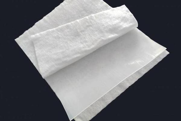 復合土工膜在圓弧段坡面上的施工工藝 第3張