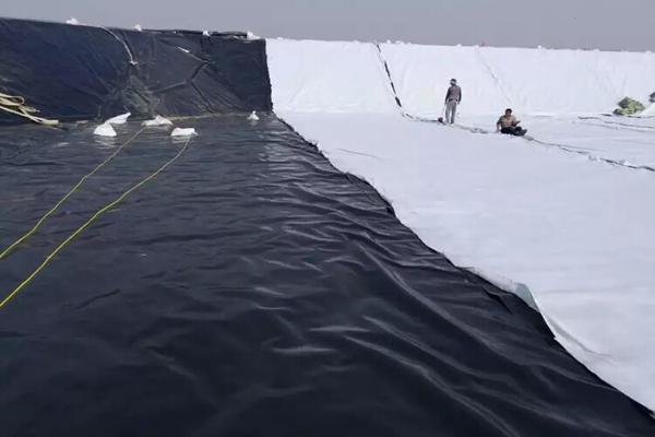 土工膜能鋪在淤泥上嗎 第3張