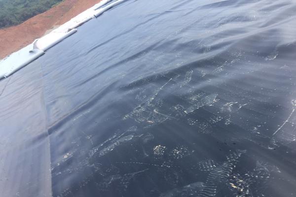 土工膜需要做型式檢測(cè)嗎 第2張