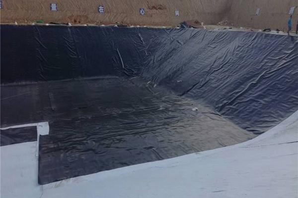 危廢間土工膜怎么施工  第1張
